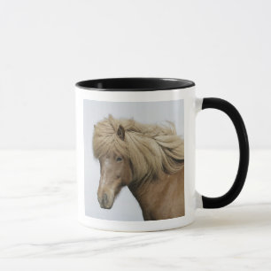 Island. Portrait eines isländischen Pferdes. Tasse