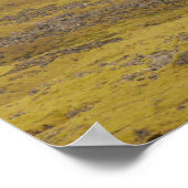 Island Poster (Ecke)