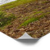 Island Poster (Ecke)