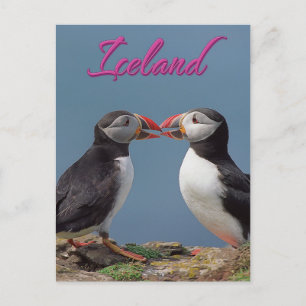 Island Postkarte