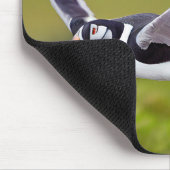 Island Puffin Individuelle Name Mousepad (Ecke)