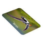 Island Puffin Magnet (Rechte Seite)
