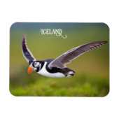 Island Puffin Magnet (Horizontal)