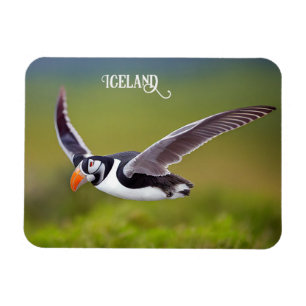 Island Puffin Magnet
