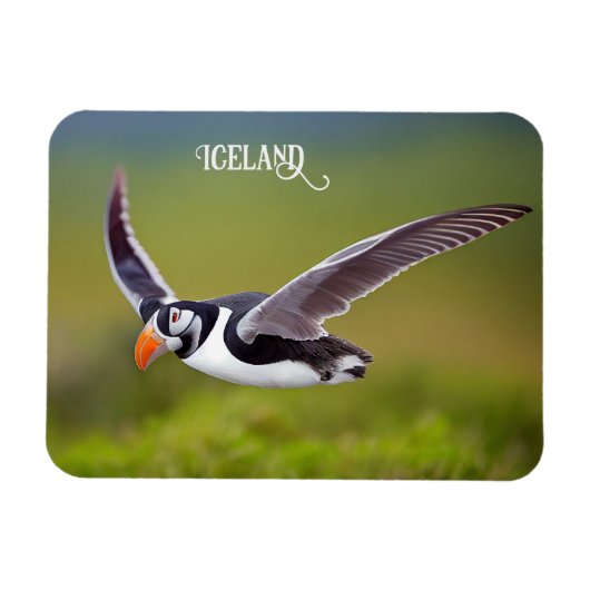 Island Puffin Magnet (Horizontal)