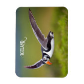 Island Puffin Magnet (Vertikal)