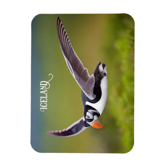 Island Puffin Magnet (Vertikal)