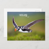 Island Puffin Postkarte (Vorne/Hinten)