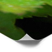 Island. Region Süd. Gullfoss Poster (Ecke)