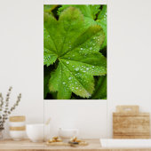 Island. Region Süd. Gullfoss Poster (Küche)