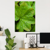 Island. Region Süd. Gullfoss Poster (Heimbüro)