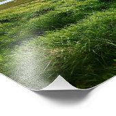 Island: Sauðárkrókur Fotodruck (Ecke)