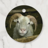 Island - Schafe Geschenkanhänger (Rückseite)