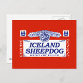 Island Sheepdog Postkarte (Vorne/Hinten)