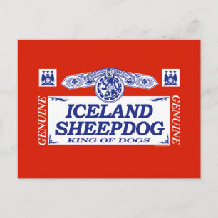 Island Sheepdog Postkarte