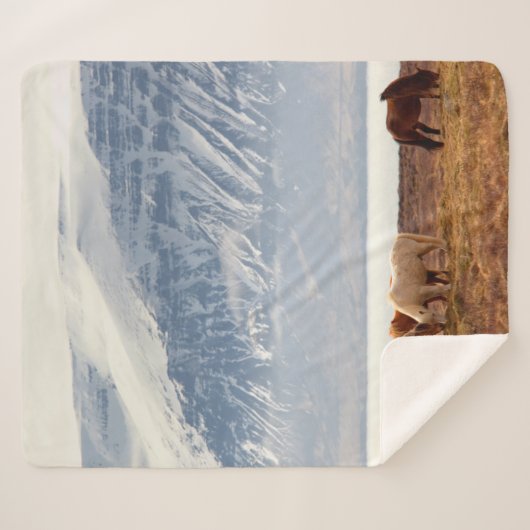 ISLAND SHERPADECKE (Vorderseite (Horizontal))