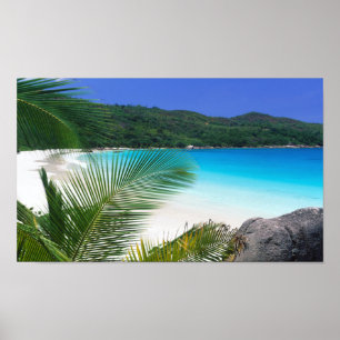 Island Time Tropical Paradise Poster