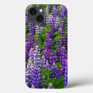 Island. Vik i Myrdal. Feld mit Lupinen Case-Mate iPhone Hülle