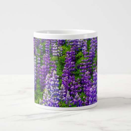 Island. Vik i Myrdal. Lupinenfeld Jumbo-Tasse (Vorderseite)