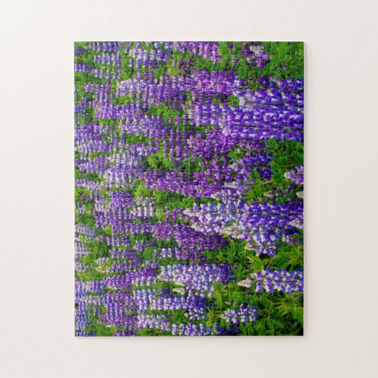 Island. Vik i Myrdal. Lupinenfeld Puzzle (Vertikal)