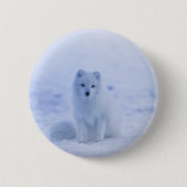 Islandarktischer Fox Button (Vorderseite)