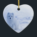 Islandarktischer Fox Keramik Ornament<br><div class="desc">Tiertier-niedlicher Winter Islandarktischen Fox</div>