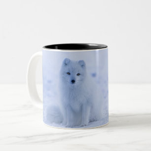 Islandarktischer Fox Zweifarbige Tasse