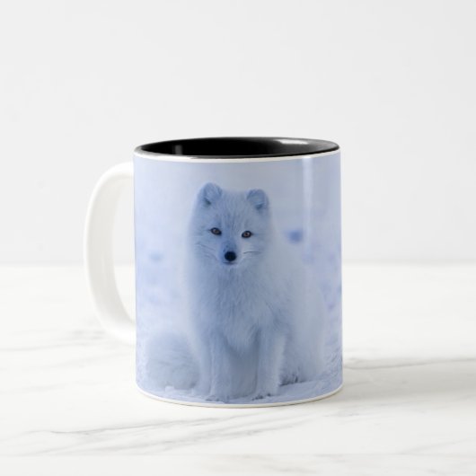 Islandarktischer Fox Zweifarbige Tasse (Vorderseite Links)