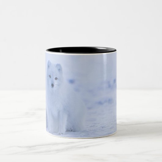 Islandarktischer Fox Zweifarbige Tasse (Mittel)