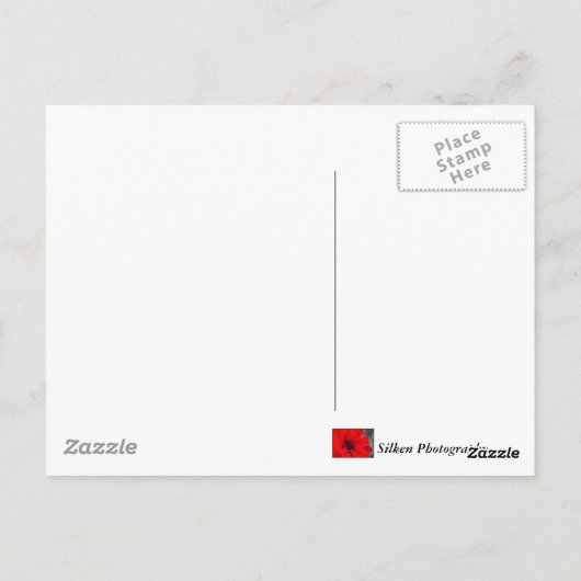 Islandfoal Postkarte (Rückseite)