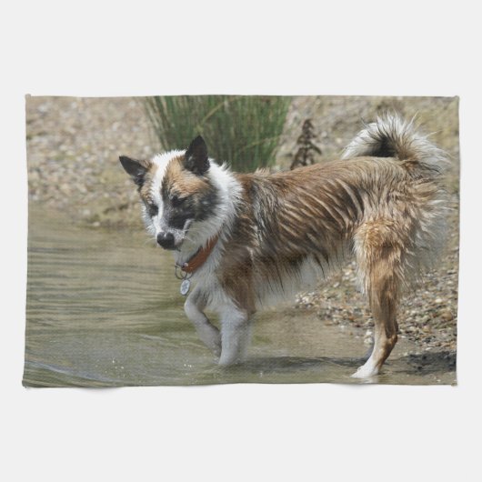 Islandhund Geschirrtuch (Horizontal)