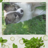 Islandhund Geschirrtuch (Gefaltet)