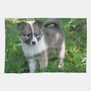 Islandhund Geschirrtuch