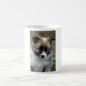 Islandhund Kaffeetasse (Mittel)