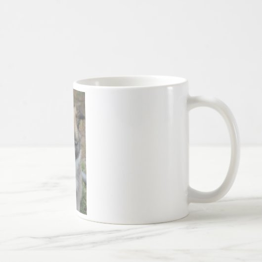 Islandhund Kaffeetasse (Rechts)