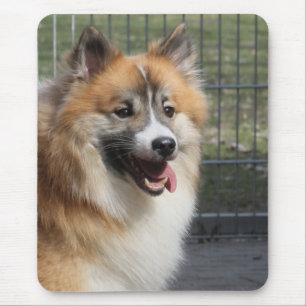 Islandhund Mousepad