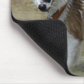 Islandhund Mousepad (Ecke)