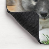 Islandhund Mousepad (Ecke)
