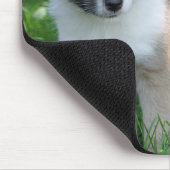 Islandhund Mousepad (Ecke)