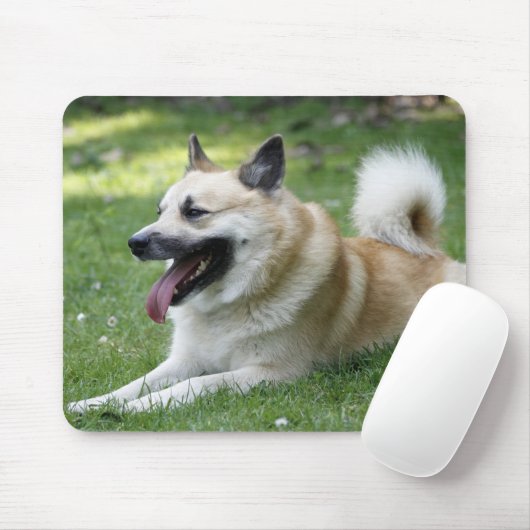 Islandhund Mousepad (Mit Mouse)