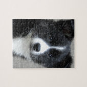 Islandhund Puzzle (Horizontal)