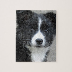 Islandhund Puzzle