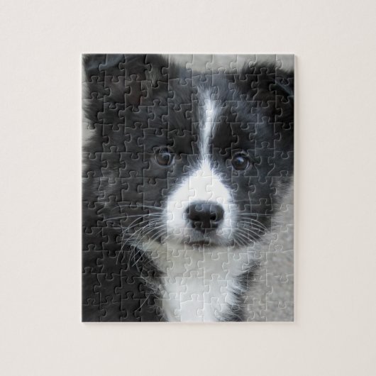 Islandhund Puzzle (Vertikal)