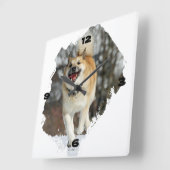 Islandhund Quadratische Wanduhr (Winkel)