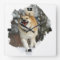 Islandhund