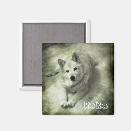 Islandhund Roka Magnet (Vorderseite/Rückseite)