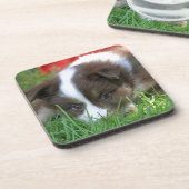 Islandhund Untersetzer (Linke Seite)