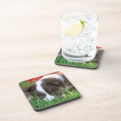 Islandhund Untersetzer (Rechte Seite)