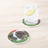 Islandhund Untersetzer (Seite)