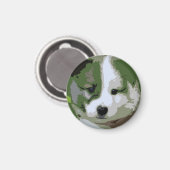 Islandhund Welpe als Collage in grün Magnet (Vorderseite/Rückseite)